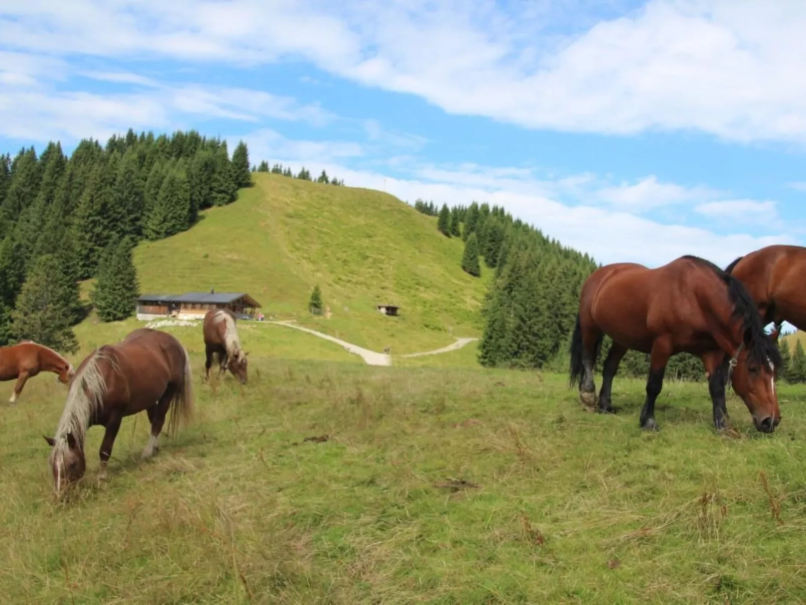 Mit Blick auf das Wasser-Buiten