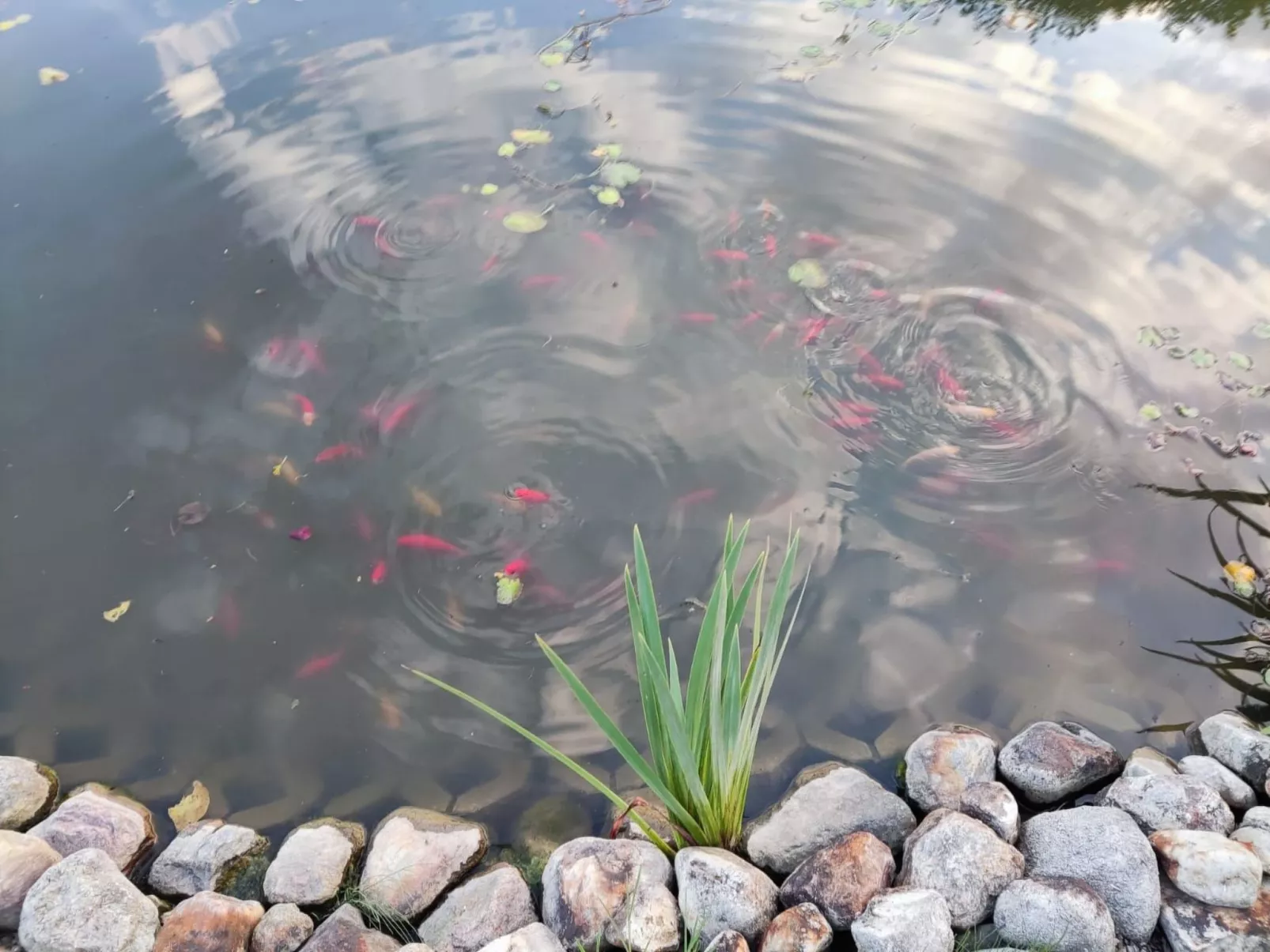 Mit Terrasse-Image-tags.info