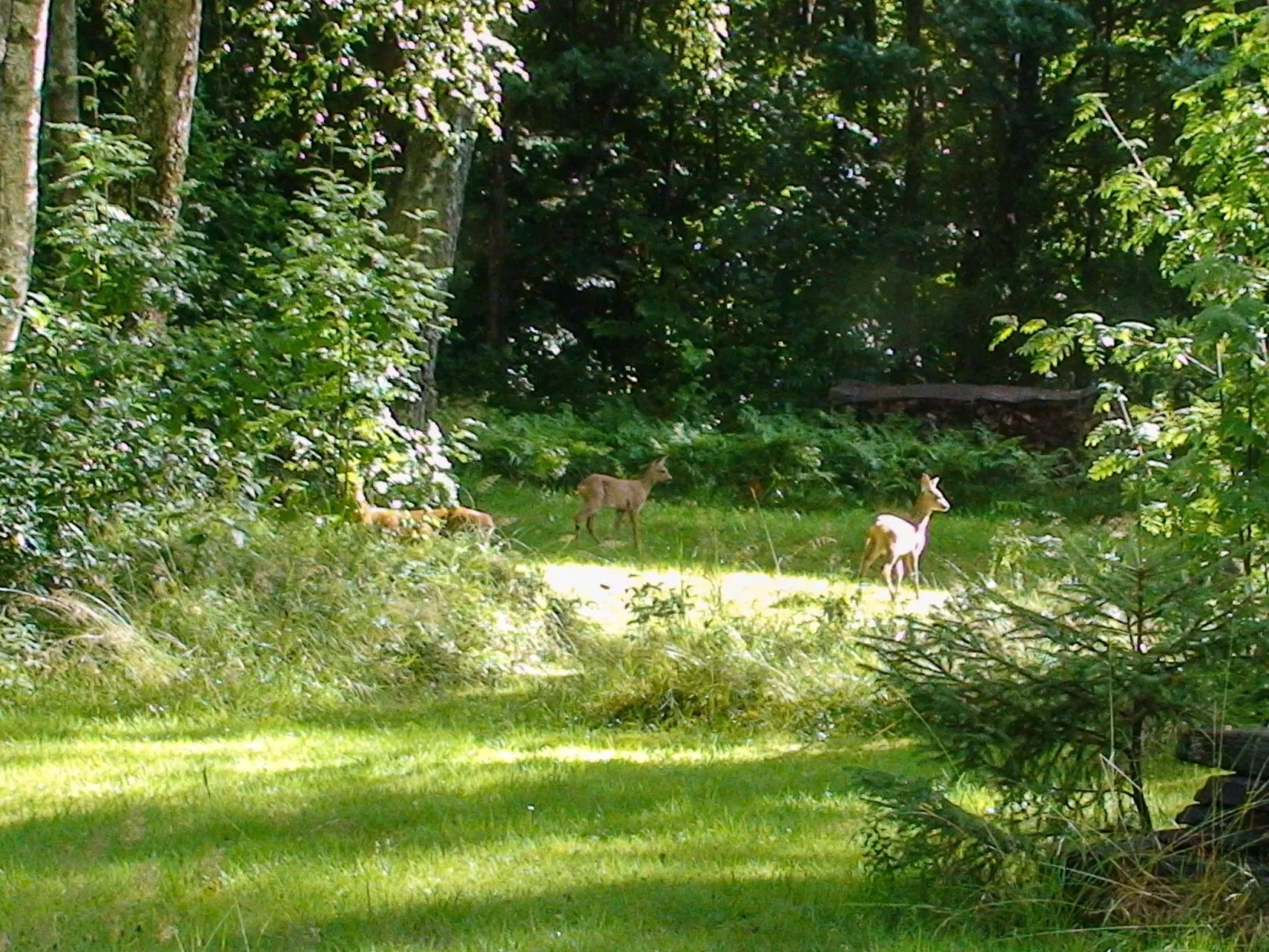 "Évika 1" mit Sauna-Buiten