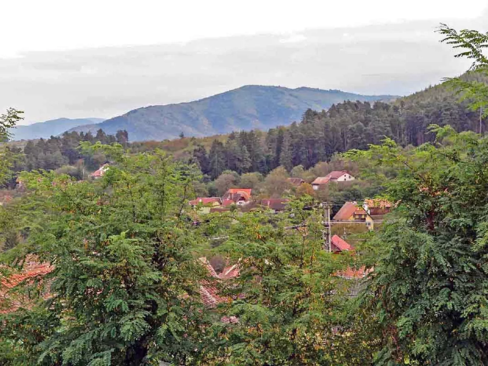 Casa Nicu - traditionelles Landhaus in Hirtendorf