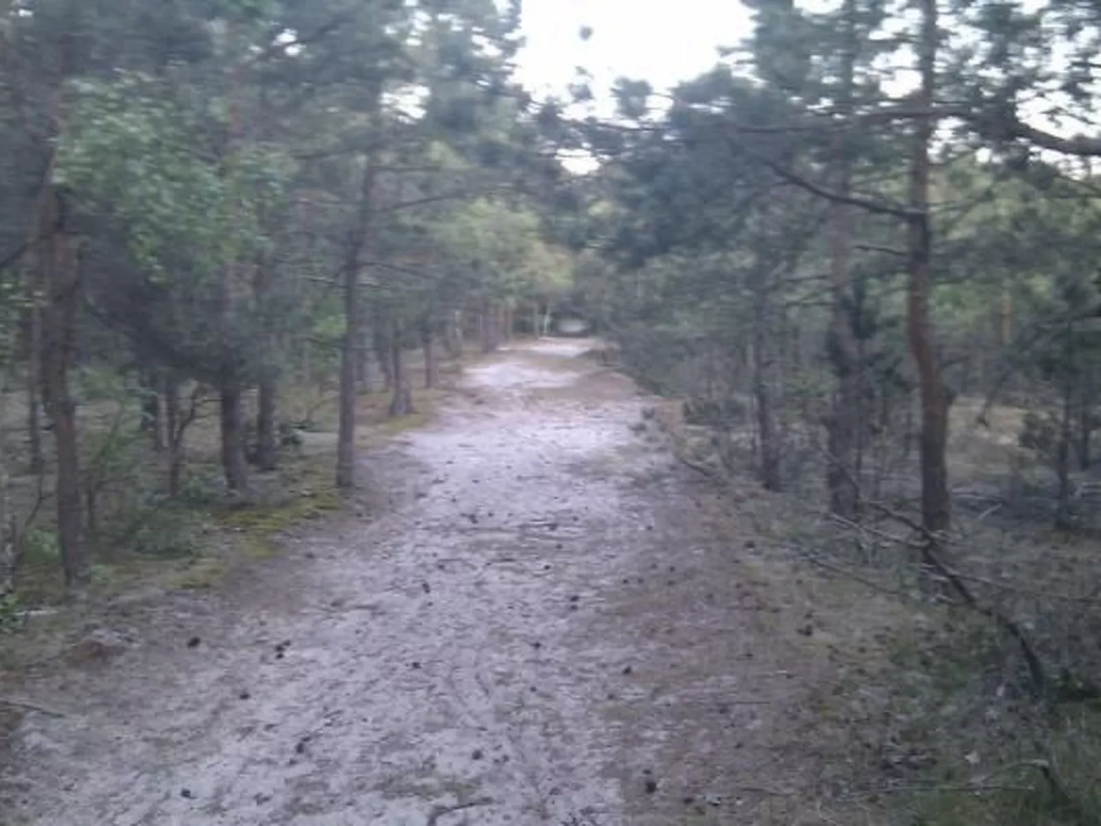 In Rusinowo mit Terrasse und Garten