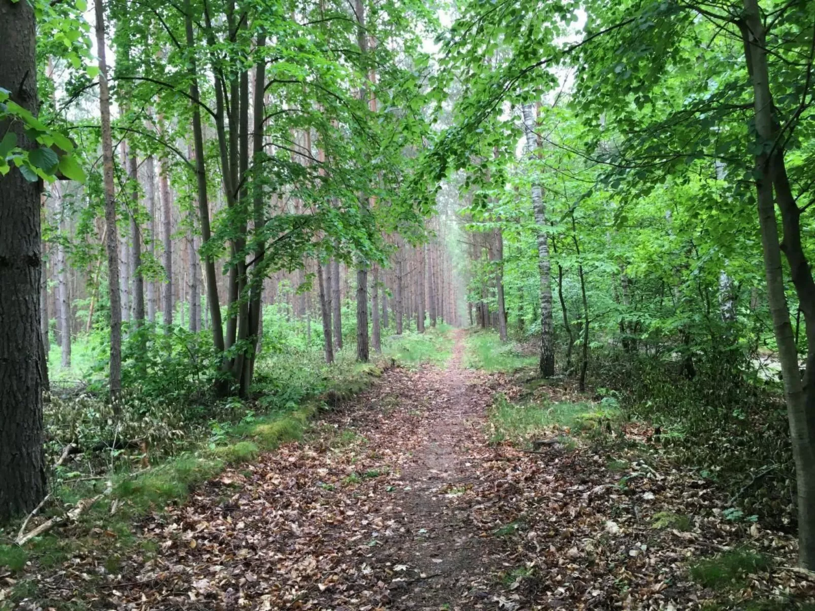Bungalow Mecklenburgische Seenplatte-Buiten