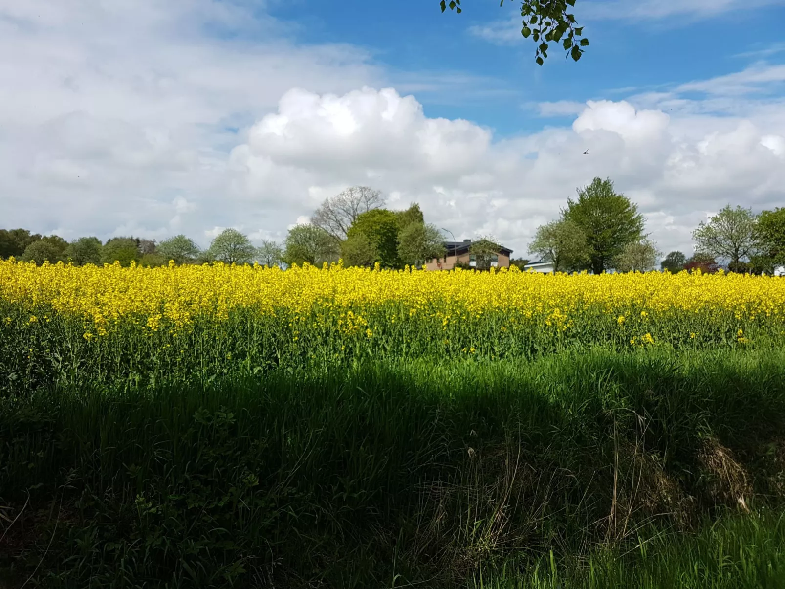 Portals Vells - Image-tags.info