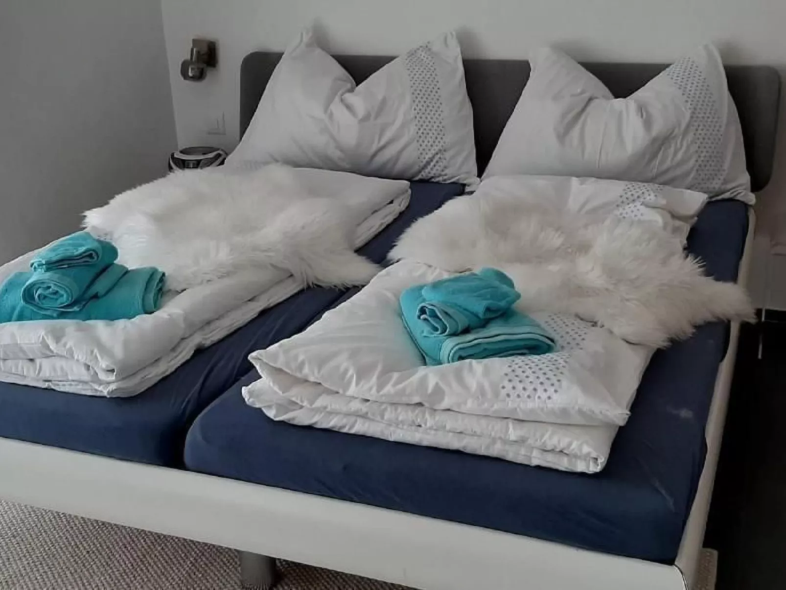 Fuarns-Image-tags.info