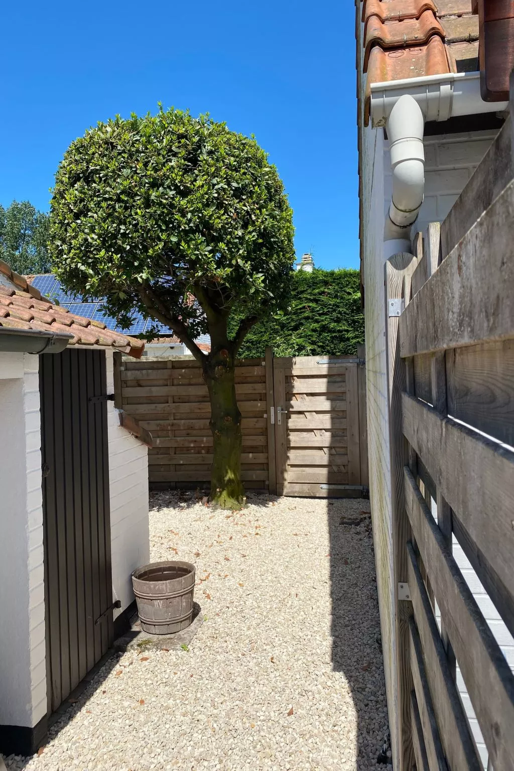 Zonnewind in der Nähe von Dünen und Wald-Buiten