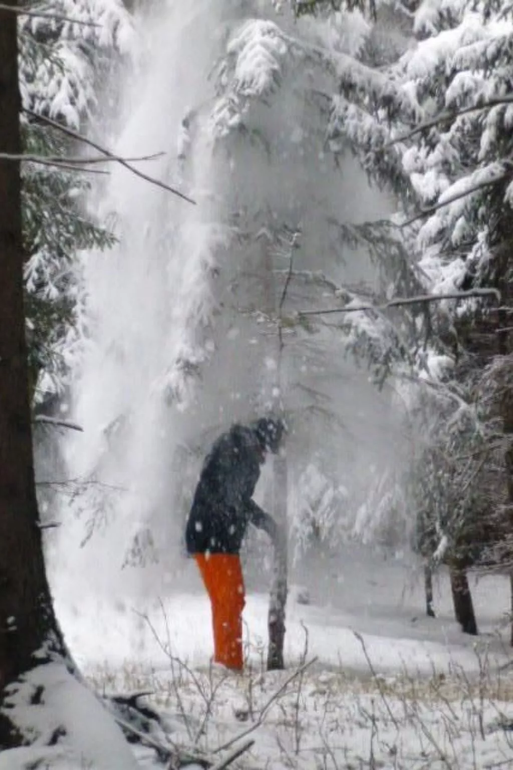 Almhütte Helmut Dischgerbrent in Sankt Margarethen-Buiten