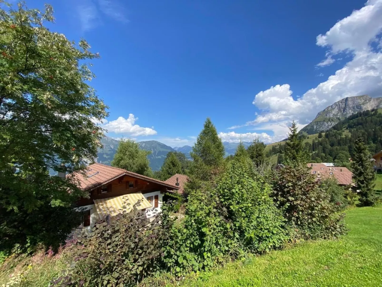 Chalet Specht