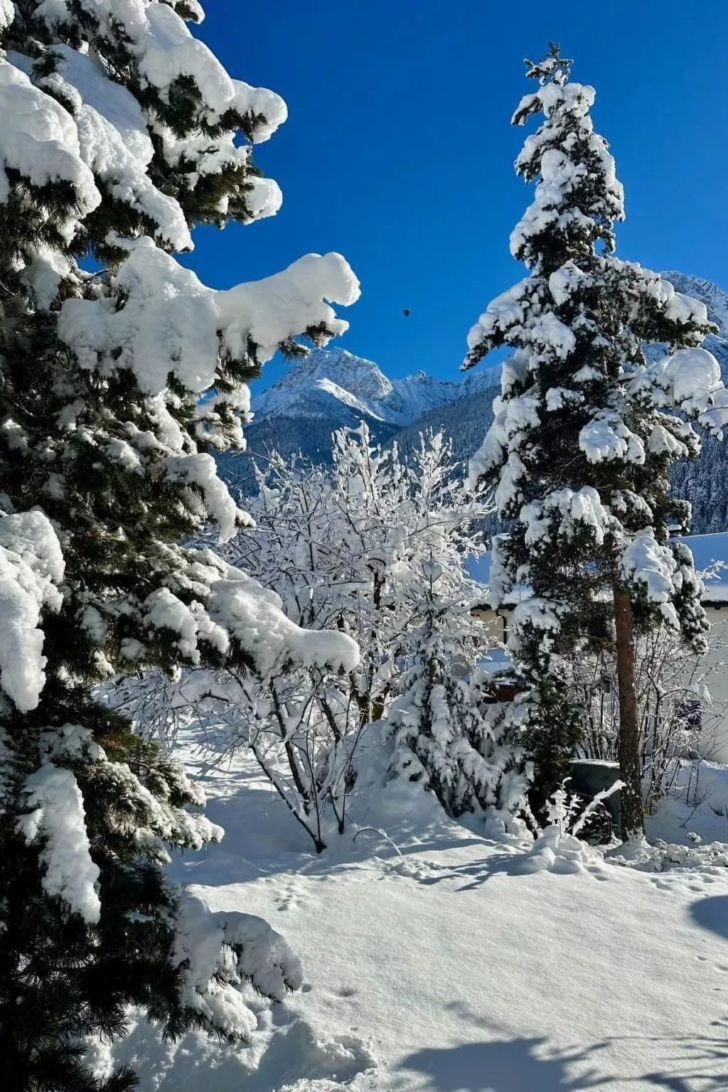 Chasa Stefania-Image-tags.info