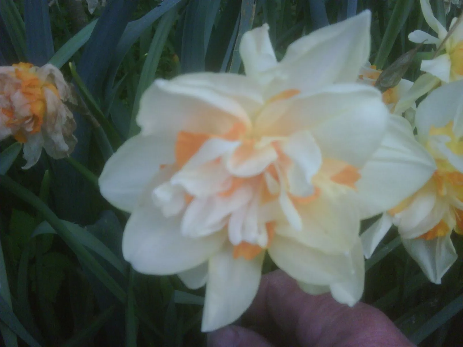 Zweifamilienhaus für sechs Personen