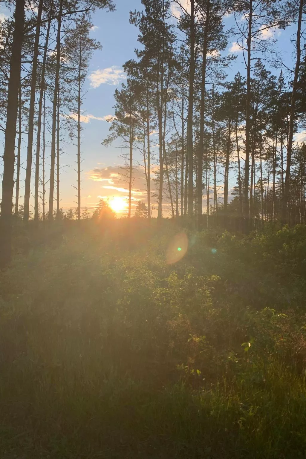 Sommerhaus in Ostrowite