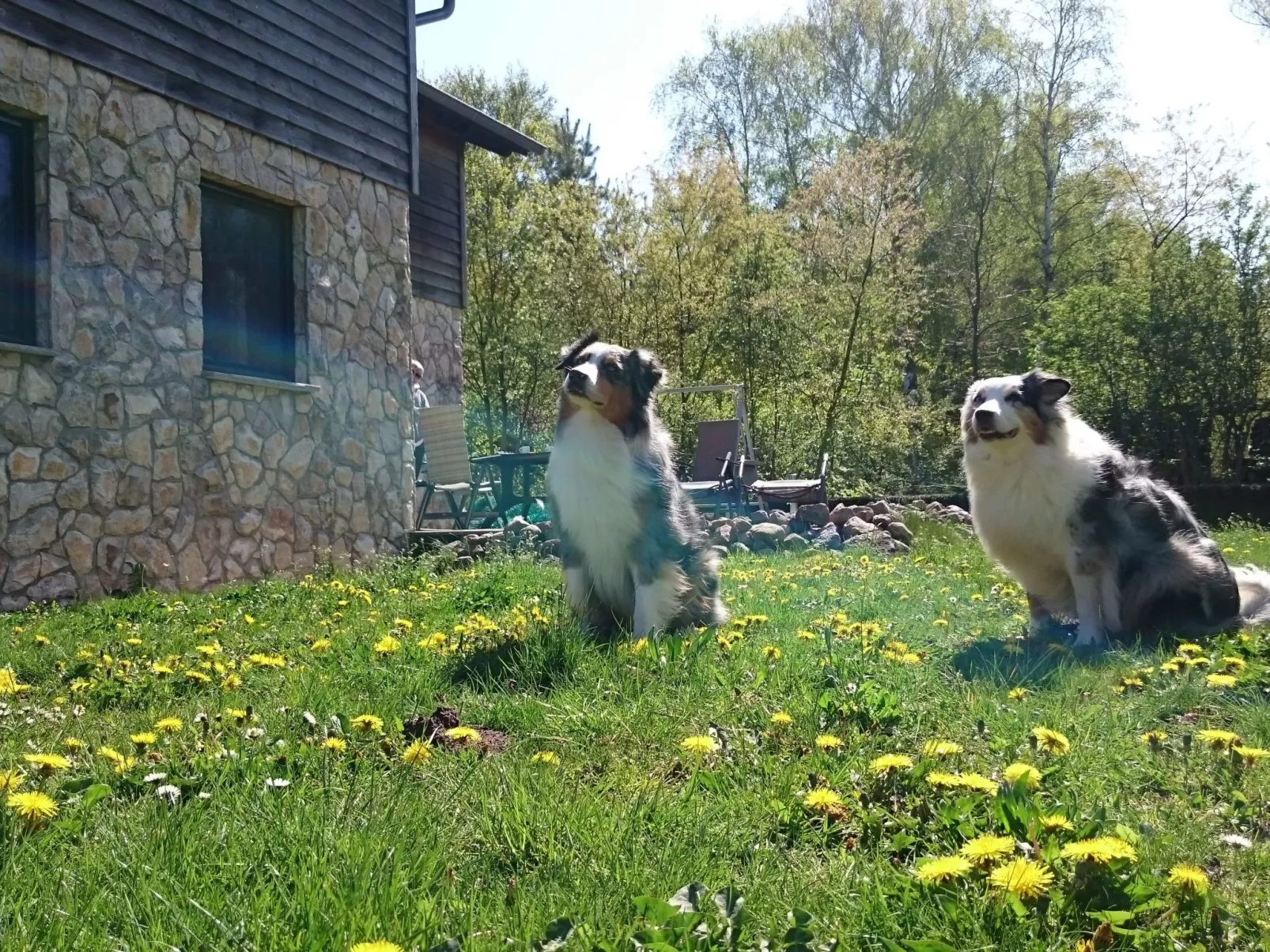 Dat Steinhus-Image-tags.info