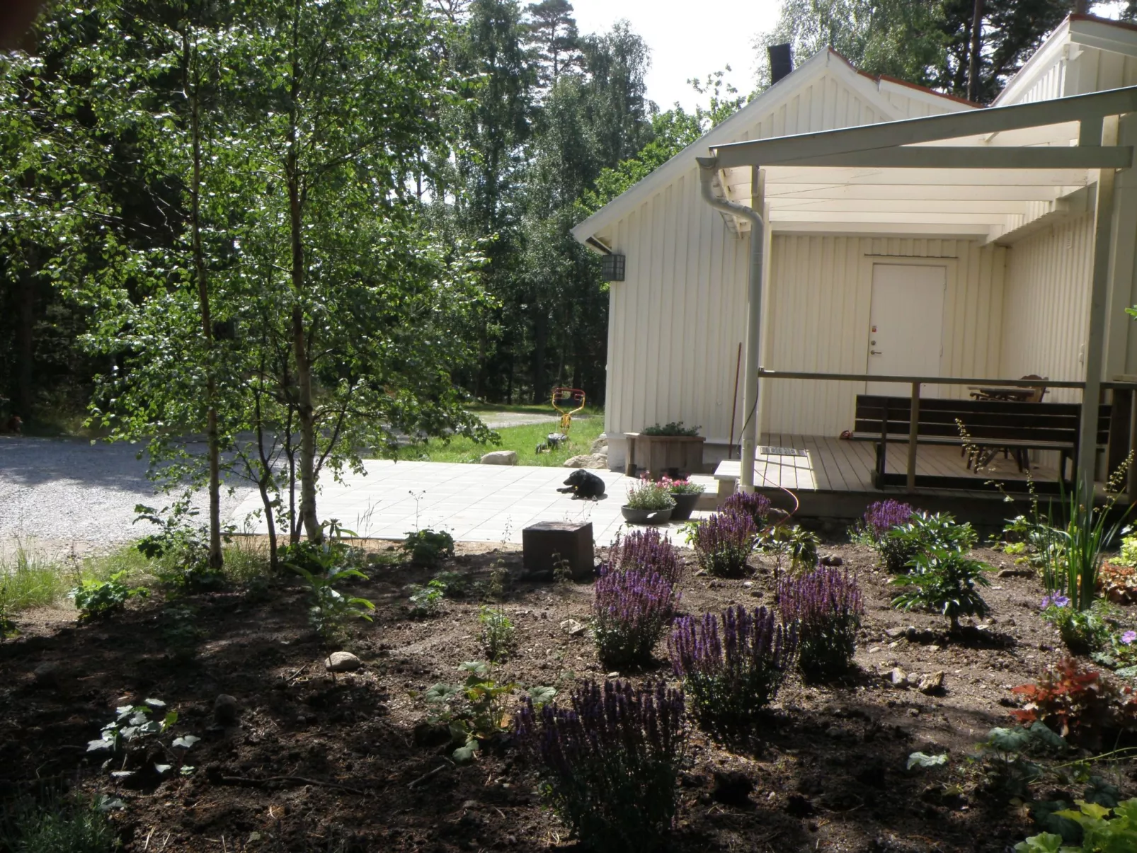 Wunderschönes Haus in einer fantastischen Natur am Meer
