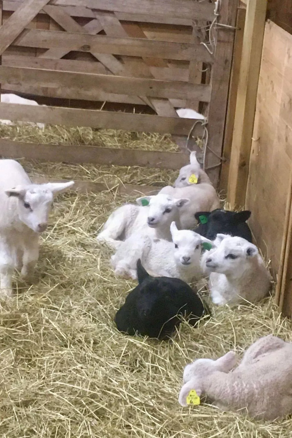 Haus mit toller Aussicht an einem schönen See-Image-tags.info