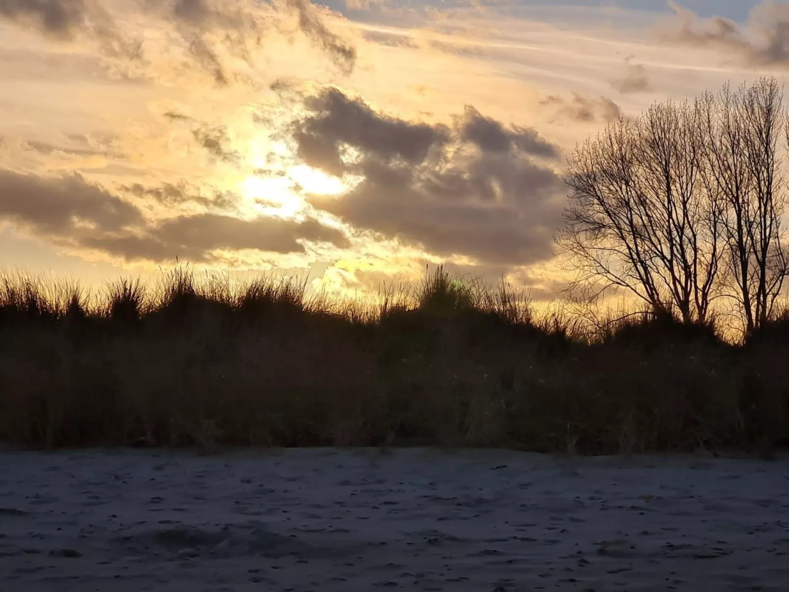 Camp  de Mar - Buiten