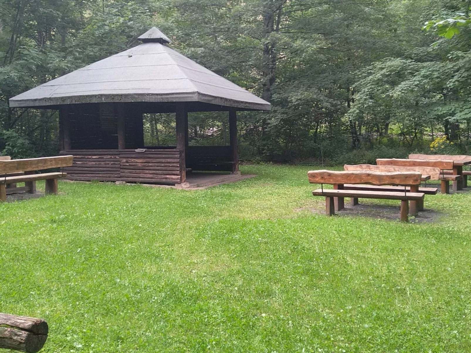 Appartement in Steina mit Terrasse