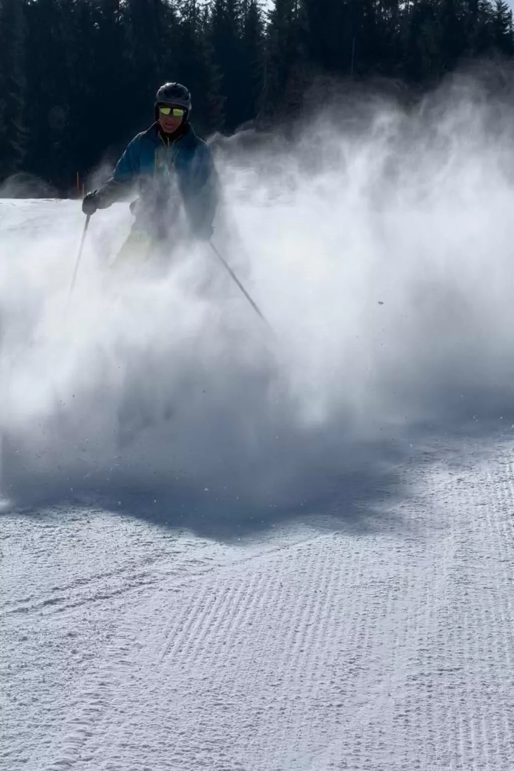 Berg-Ferienwohnung  im Chalet  Zirbeli