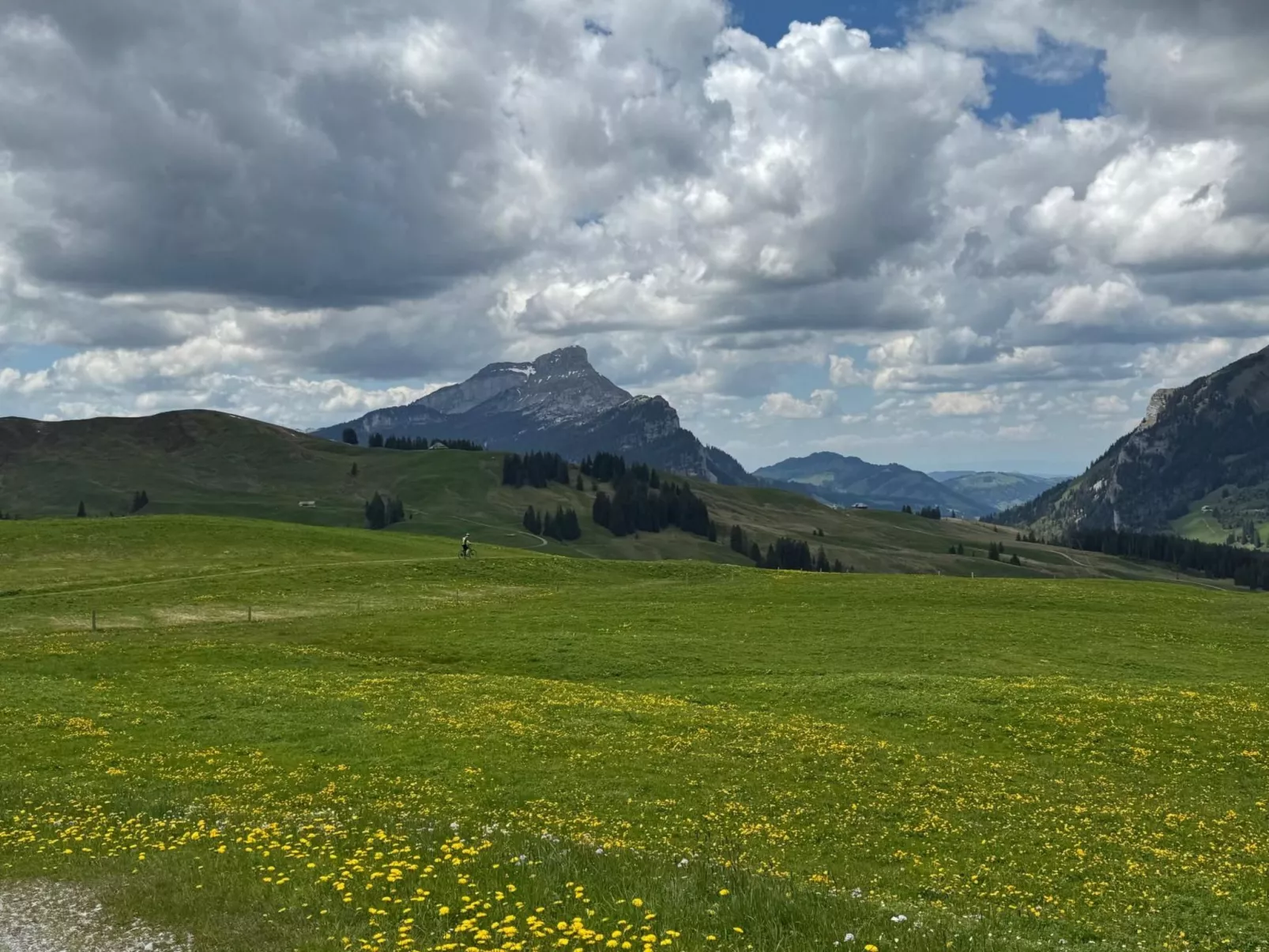 Moderne Ferienwohnung HEIMATLI mit 1 Schlafzimmer-Buiten