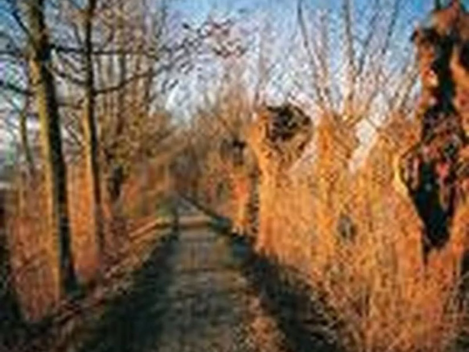 Rosentürmli - Buiten