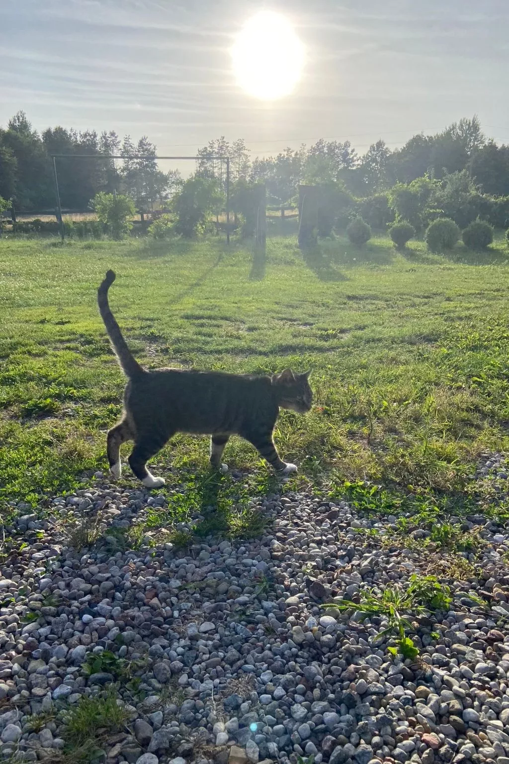 Alte Dorfschule-Buiten