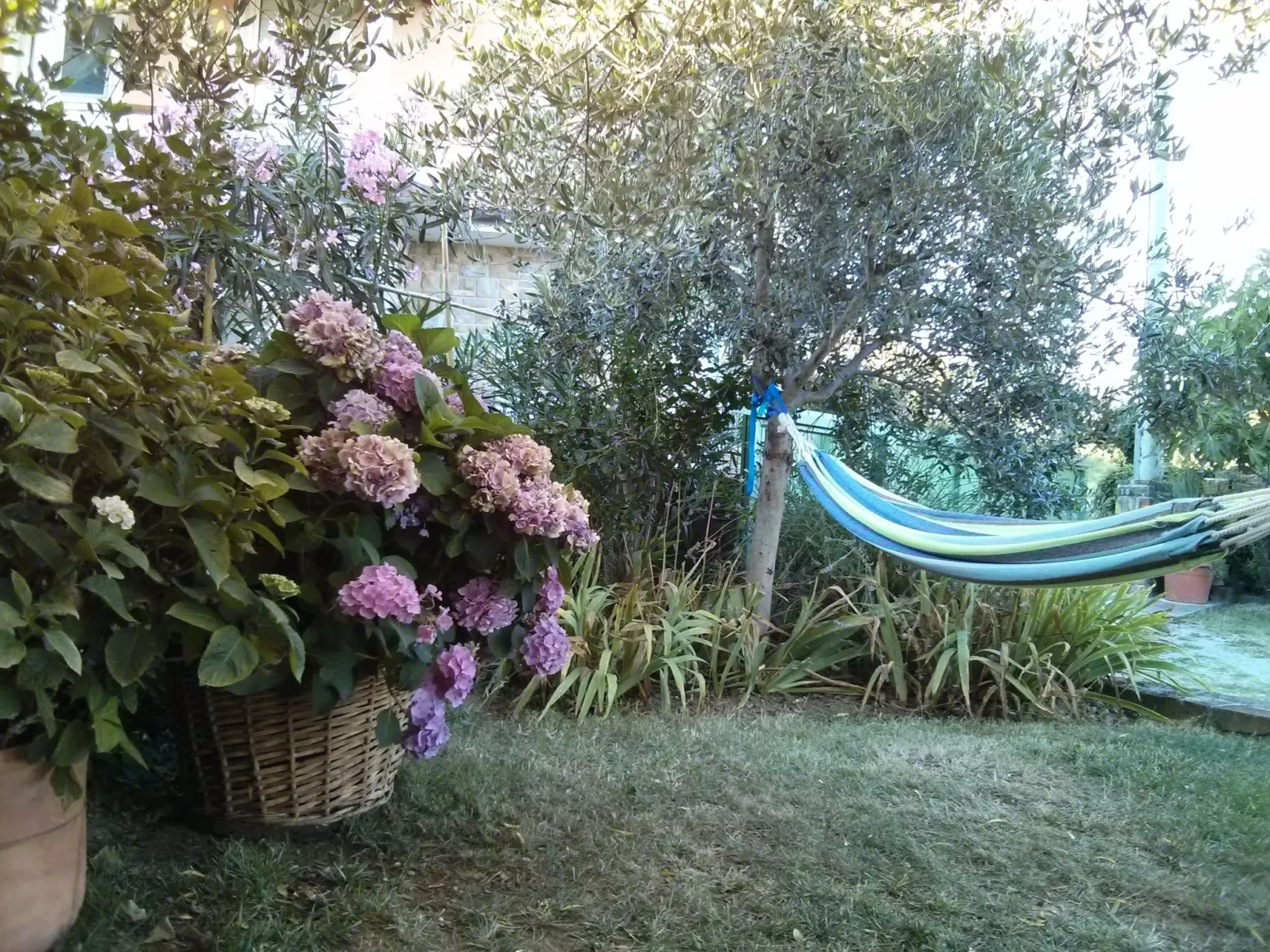 Istrisches Steinhaus-Buiten