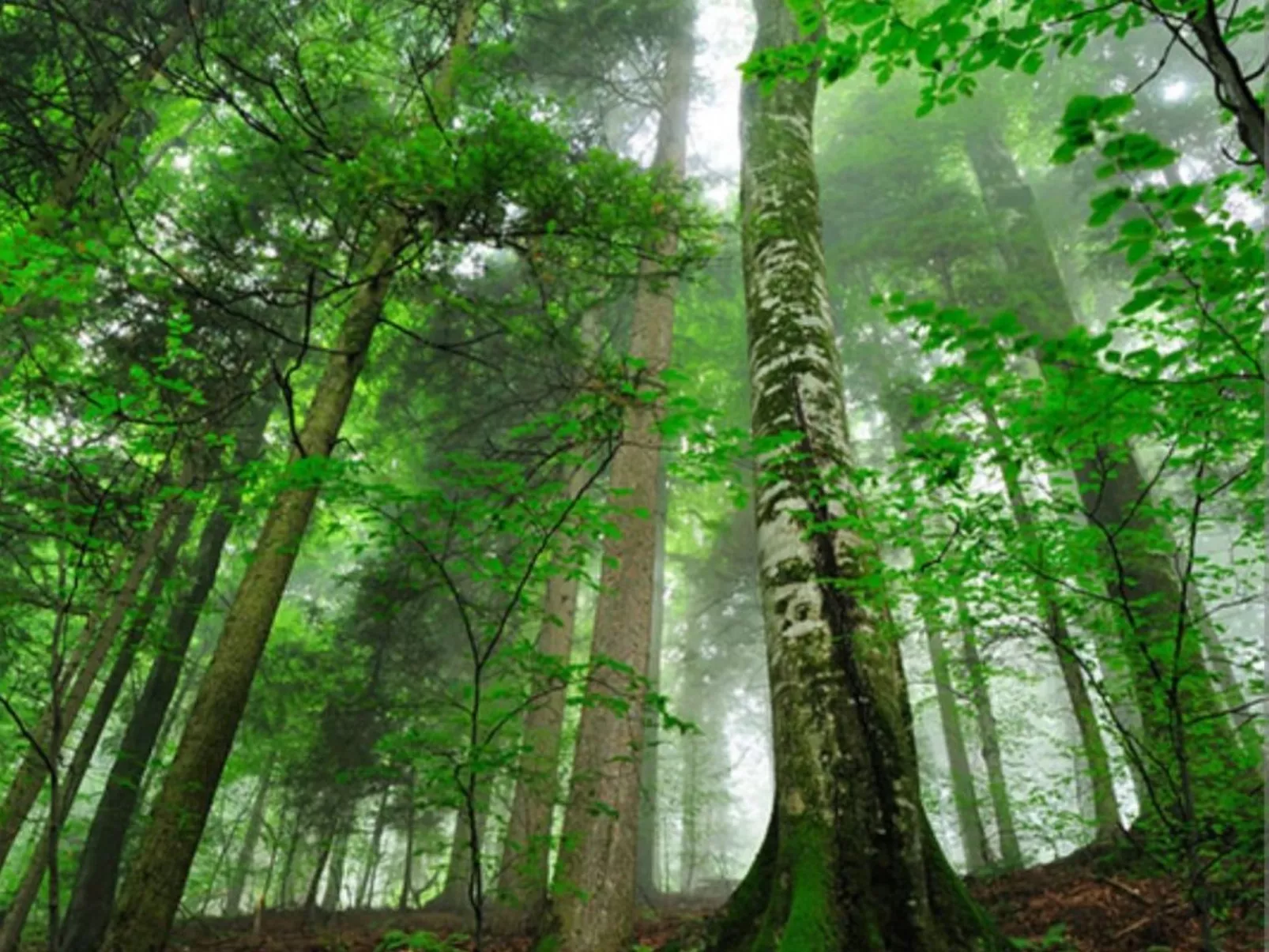 Kupres apartman-Buiten