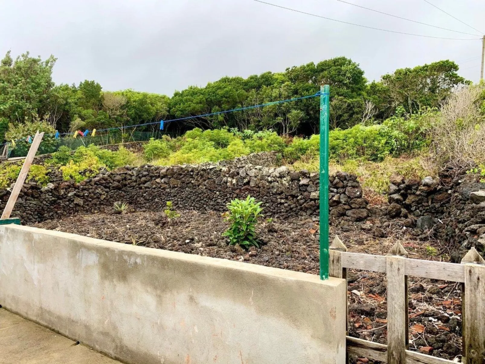 Das Haus des Großvaters-Image-tags.info