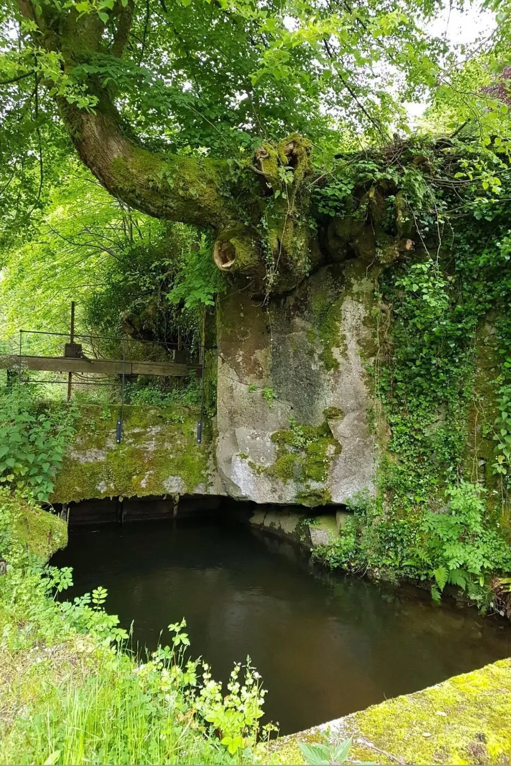 LE HAVRE SAUVAGE-Buiten