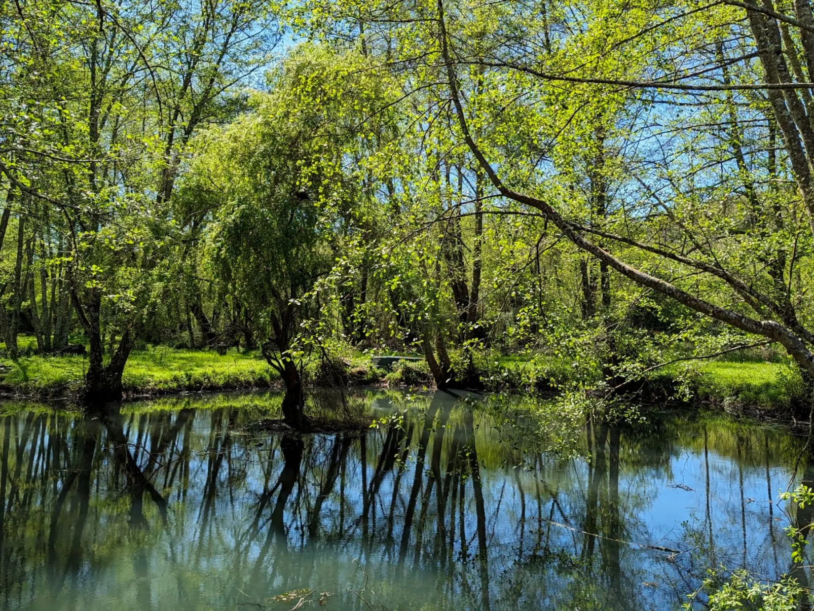 Im Herzen des Périgord Noir in der Nähe von Limeuil