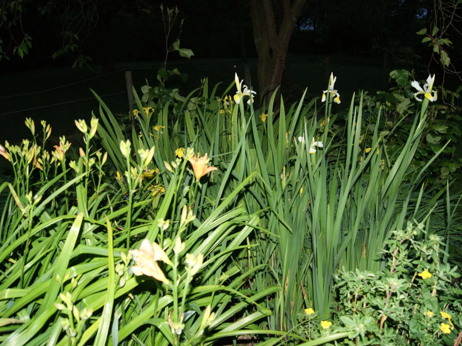 Charmante normannische Ferienwohnung Les chataigniers 2 Zimmer