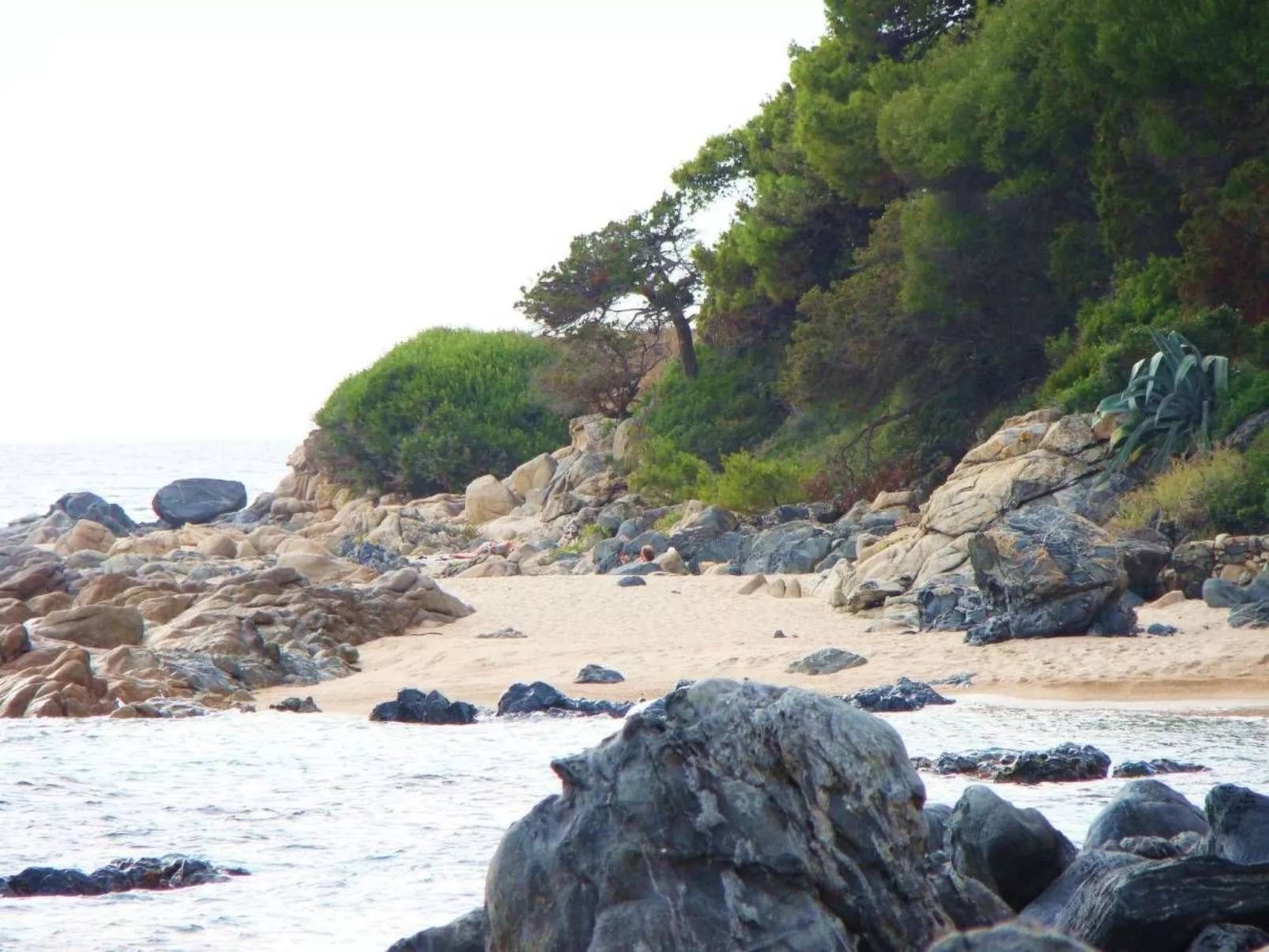 Villa des Plages-Valinco 2Zi Super Meerblick 250m-Buiten