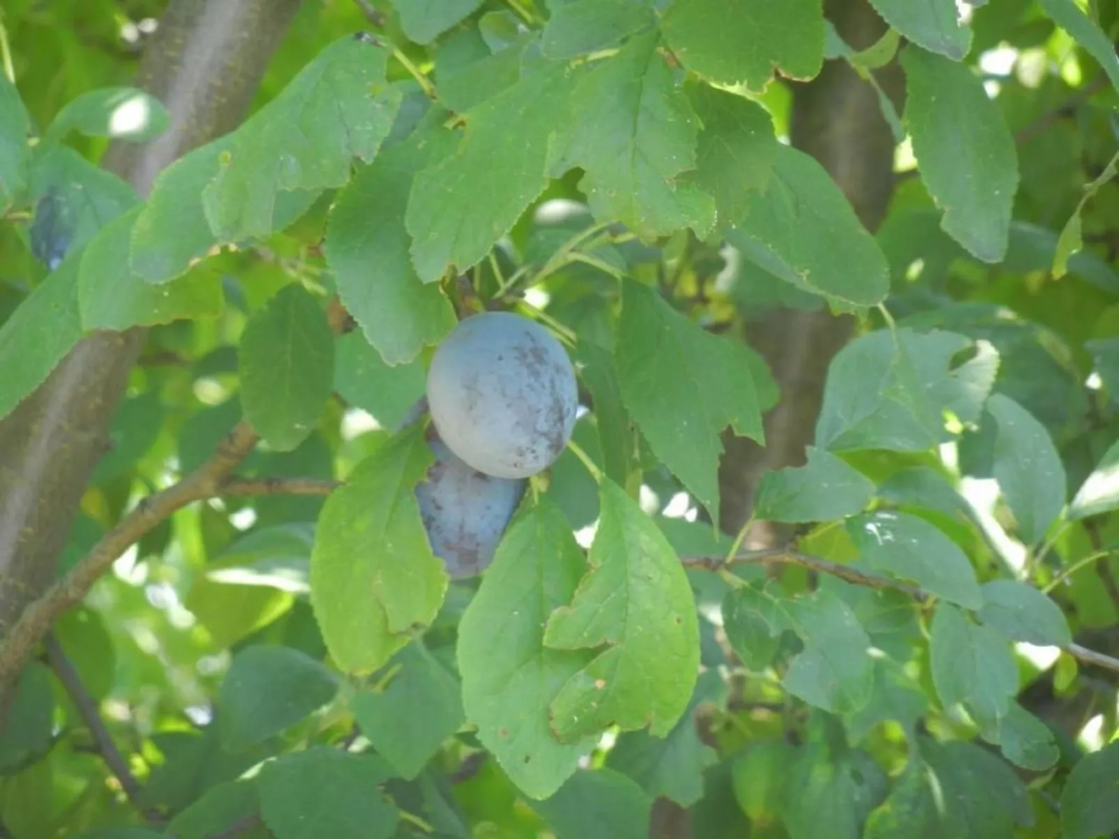 Urlaub für die Seele - Ferienhaus mit Sauna-Image-tags.info