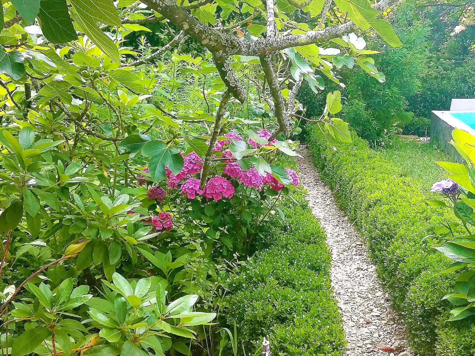 Quinta D'Avó Amélia, wunderschönes Landhaus zwischen den Bergen und dem Meer-Buiten