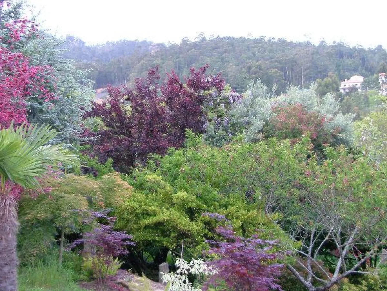 Finca "Quinta do Bento Novo"-Buiten