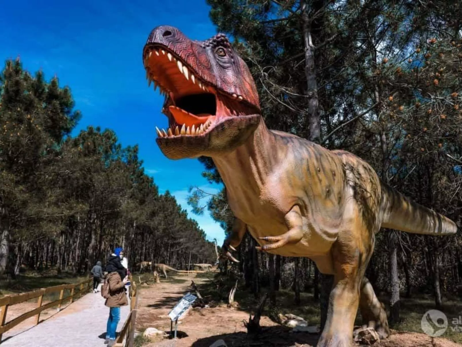 Villa Azinhança do Mar-Image-tags.info