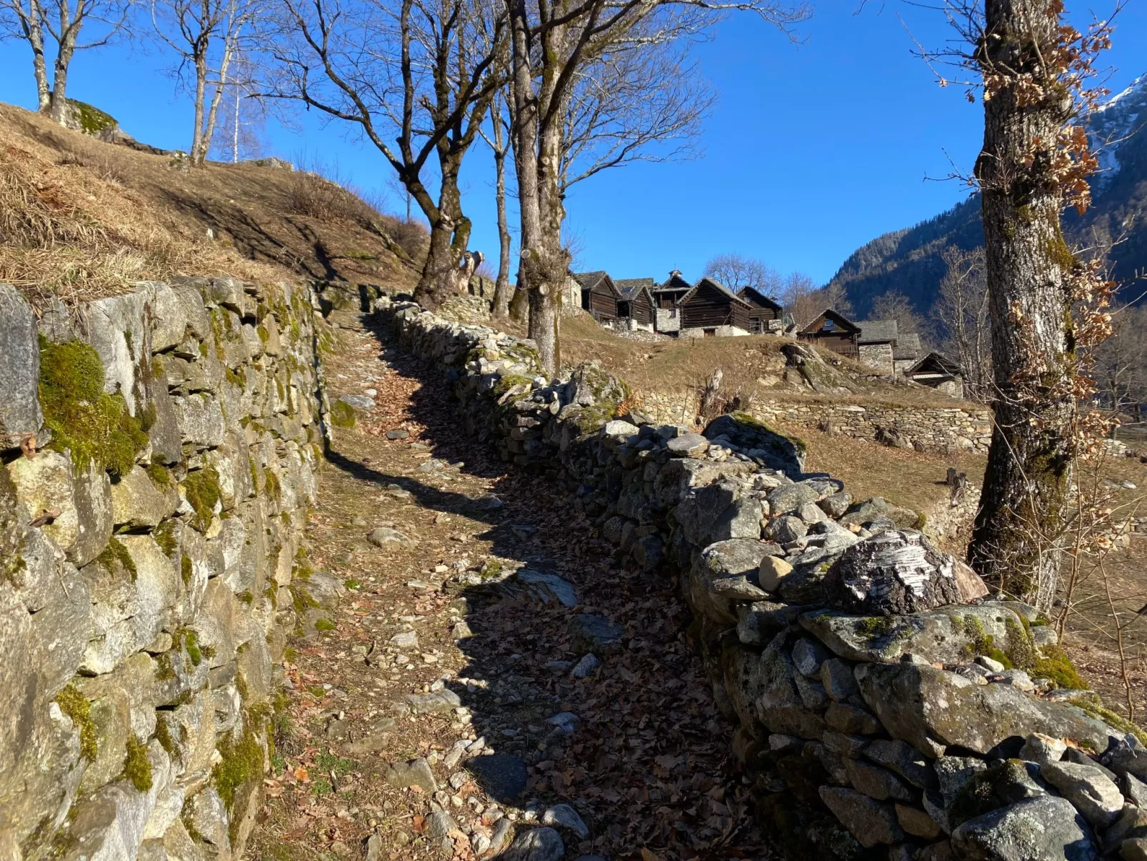 Rustico Monti di Rima