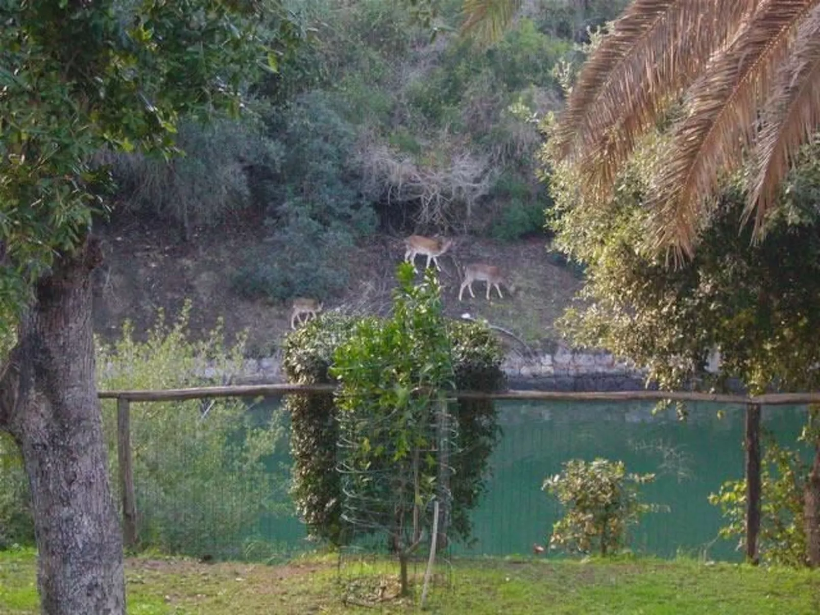 'Villa Paradisino-Buiten