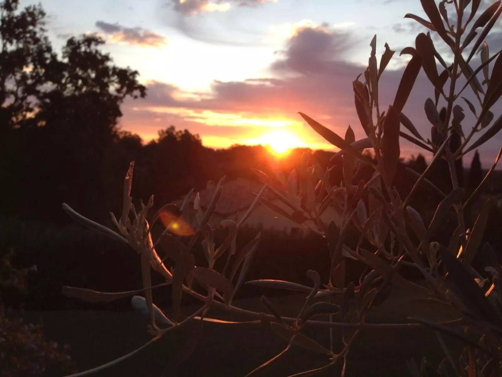 Côte d'Azur ganze Villa beheizter Pool Meerblick-Buiten