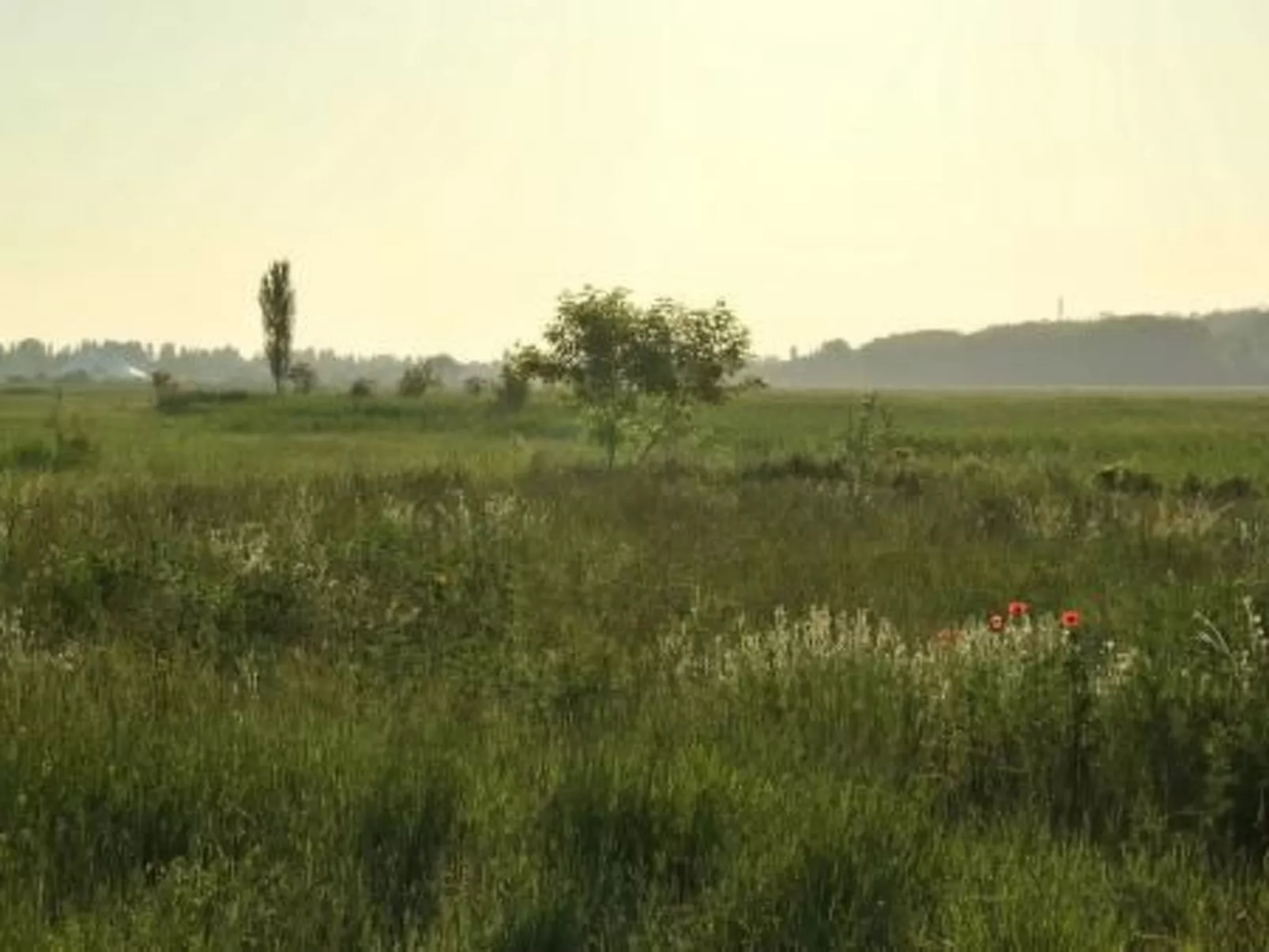 Doppelhaushälfte für sechs Personen mit Garten-Buiten