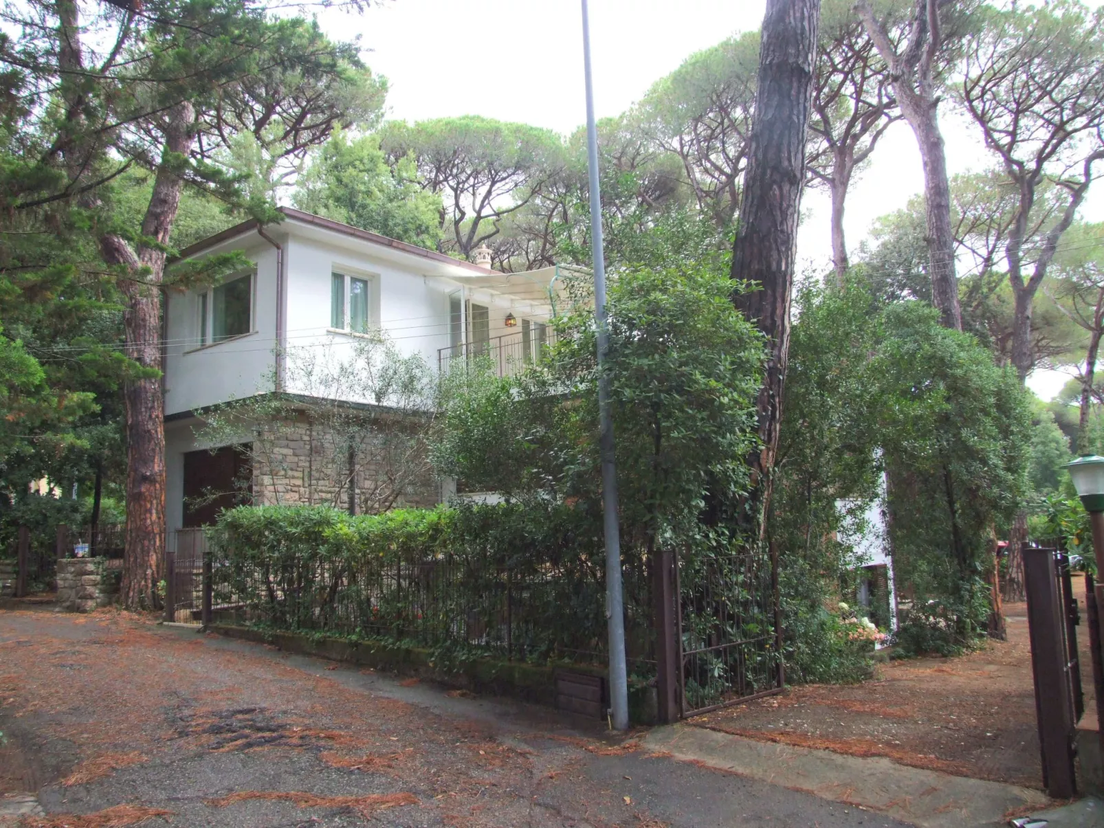 Orchidea von Holiday World