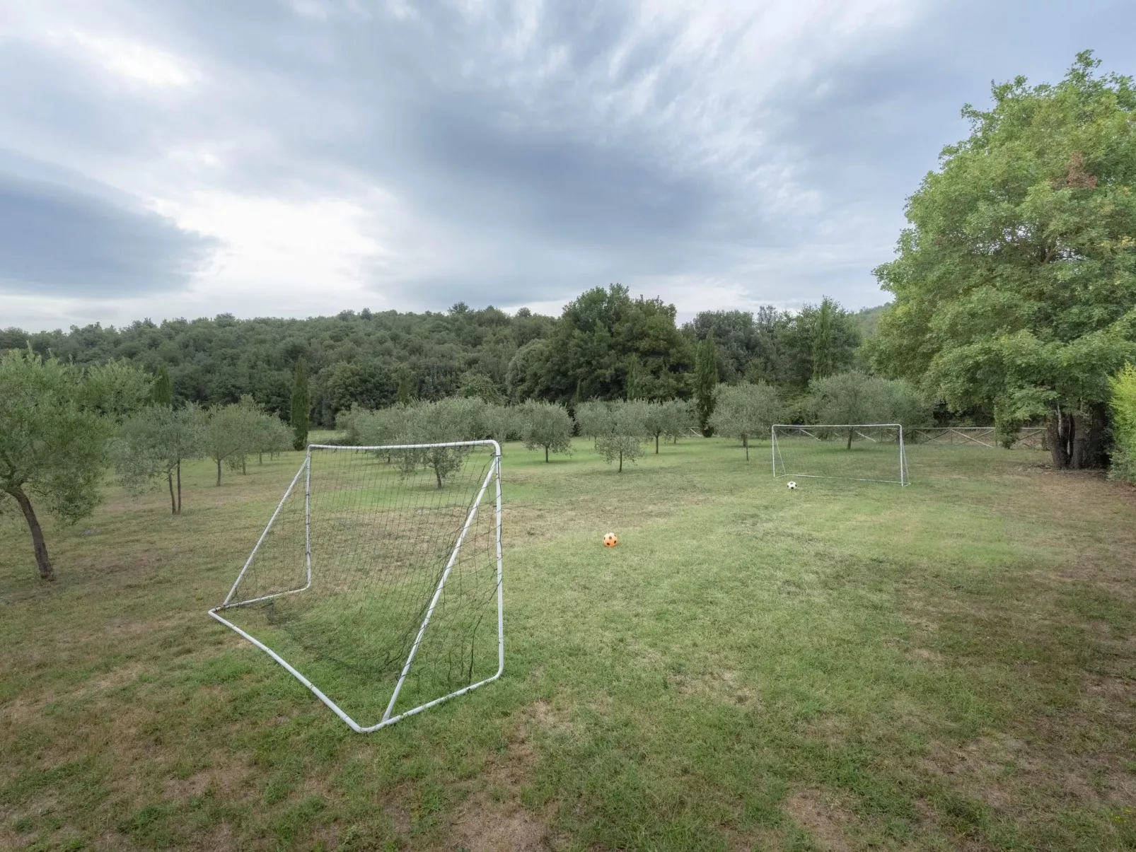 Buchfinkmaskie-Buiten