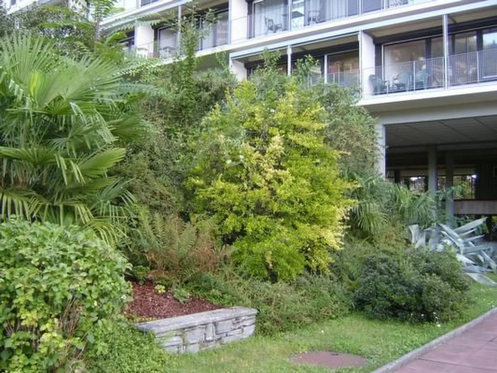 Freie Sicht auf See und Berge