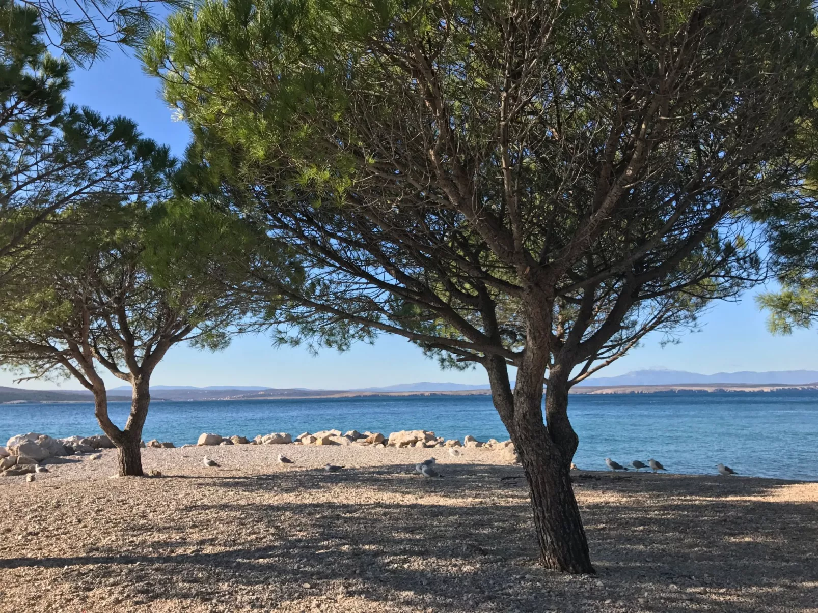 Familienferienwohnung mit Meerblick