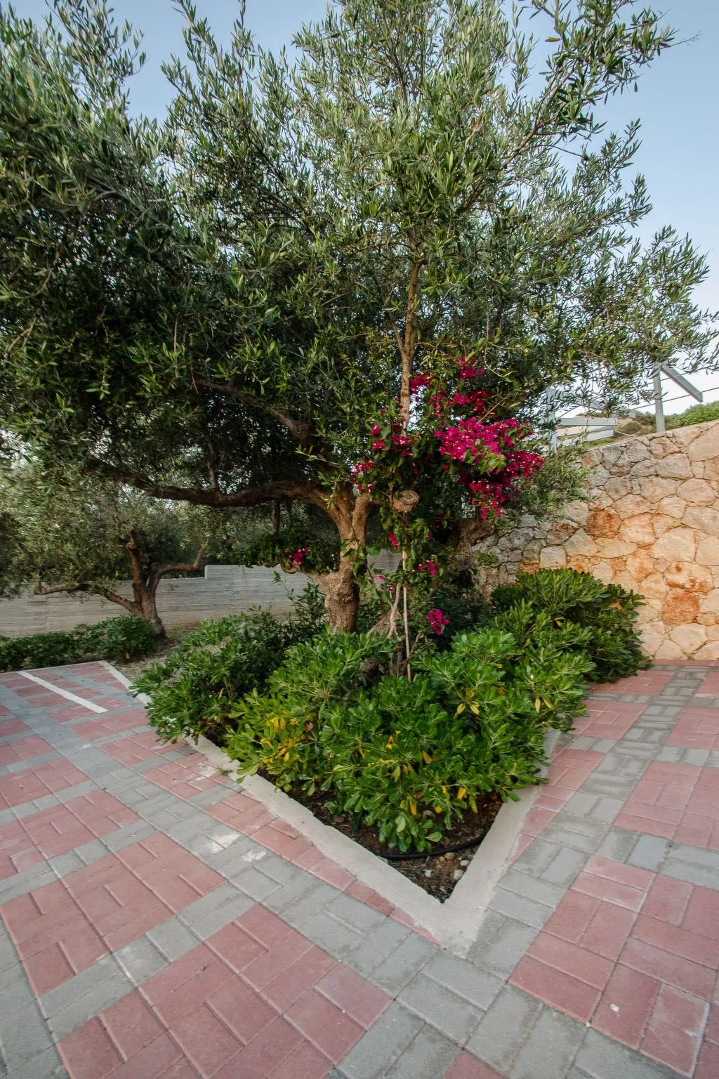 "Sirocco" mit Blick auf das Wasser