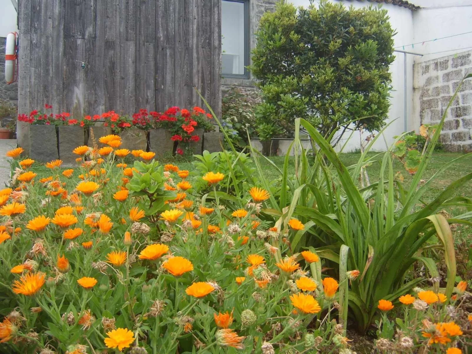 Tradicampo-Ferienhaus A Arribana-Image-tags.info