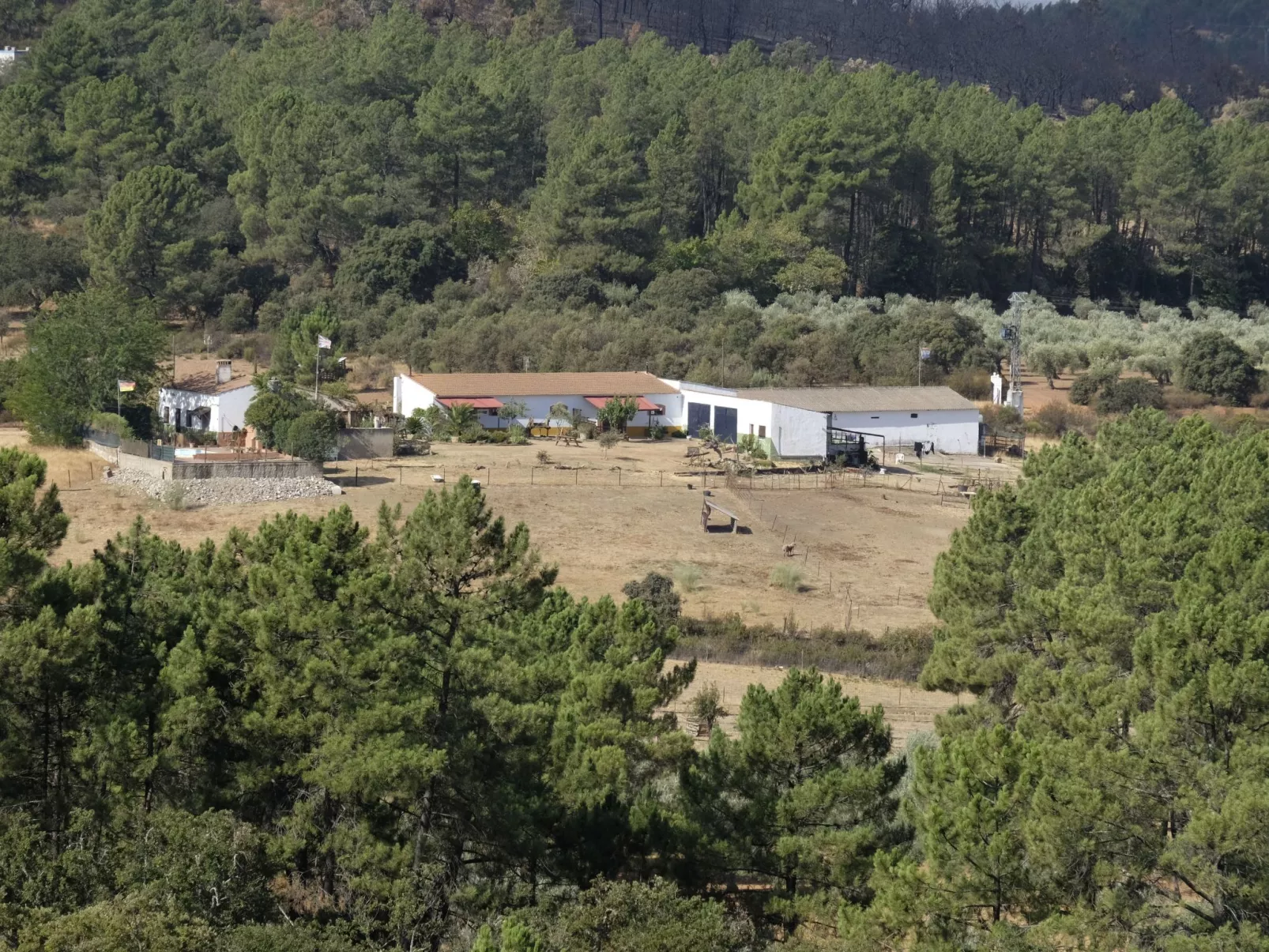 Finca "Cottage" mit gemeinschaftlichem Pool