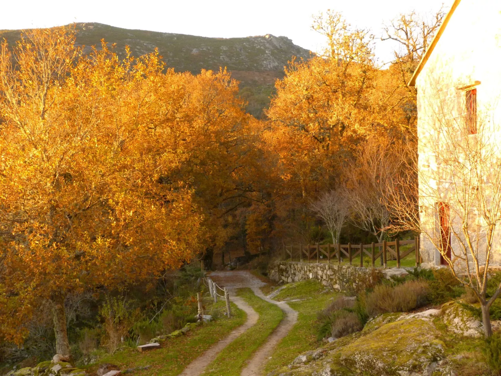Finca "Casa do Portomartiño"-Buiten