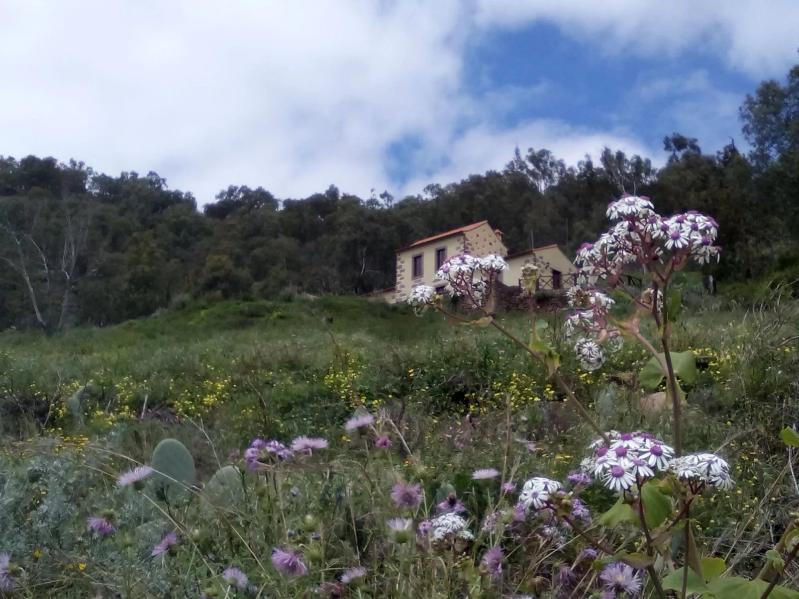 Ländliches Haus Las Caldereras