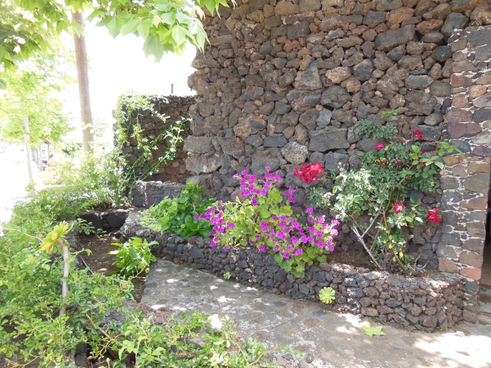 Traditionelles kanarisches Landhaus-Buiten