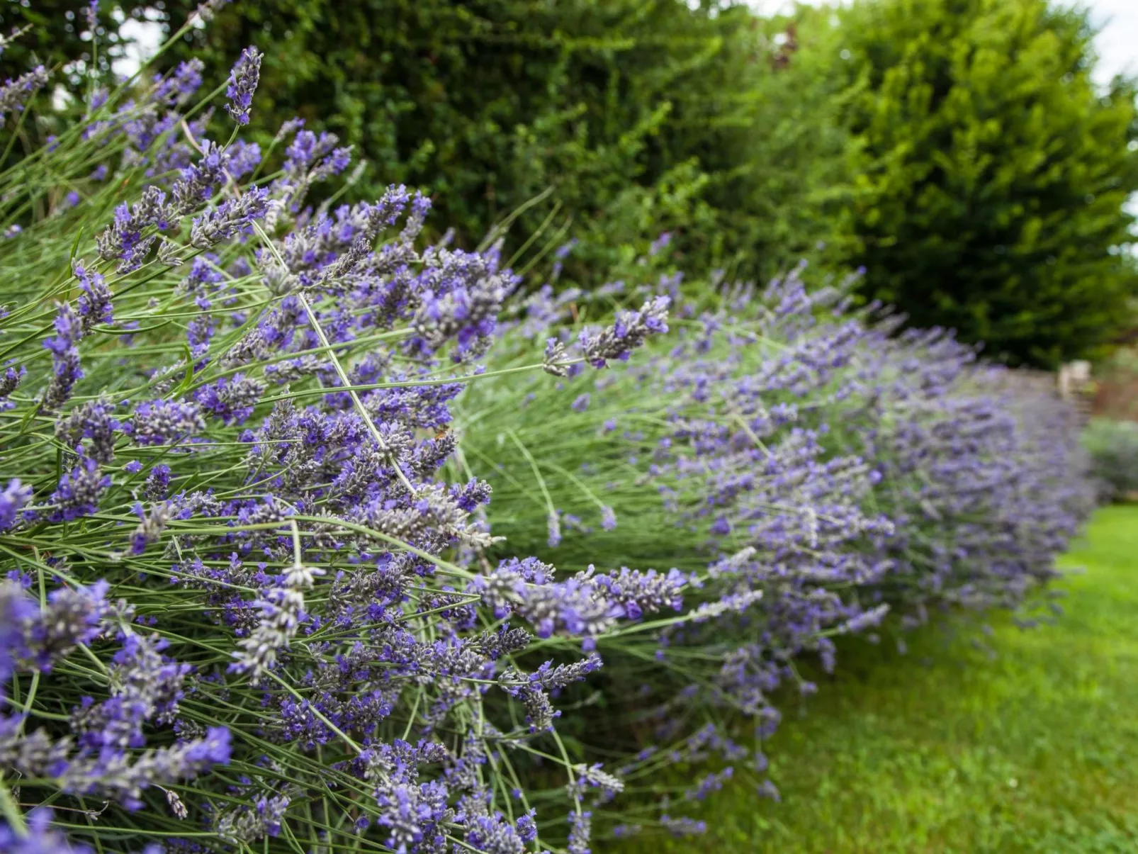 Mit Terrasse-Image-tags.info