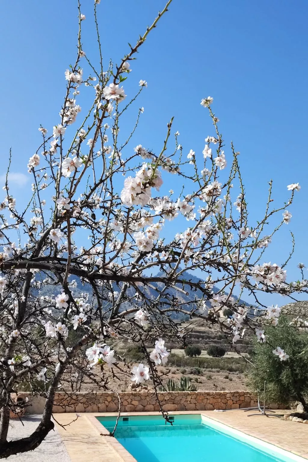 Domicilio de Vida-Buiten
